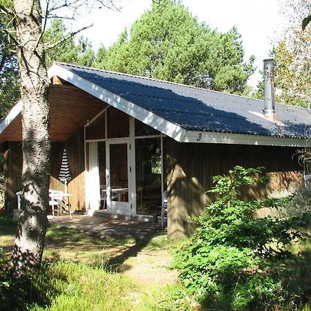 Holiday - Lodskovvad - 021943 * Ålbæk